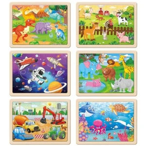 Wooden Puzzle 6 Pack