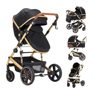 2-in-1 Baby Stroller